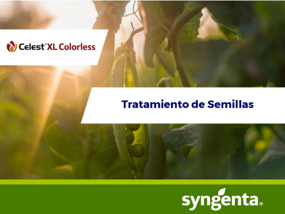 Fungicida Celest®  XL 035 FS Colourless