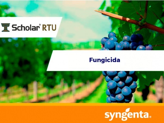 Fungicida Scholar Rtu Syngenta