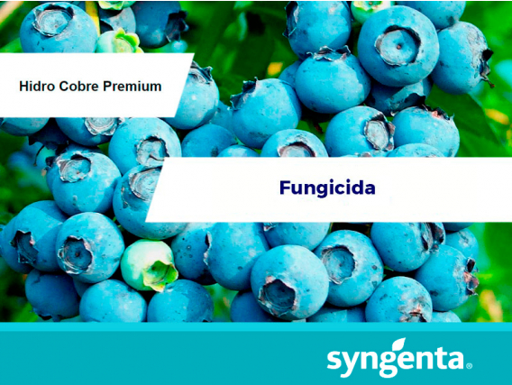 Fungicida y Bactericida Hidro Cobre Premium