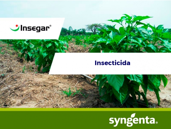 Insecticida Insegar® 25 WG