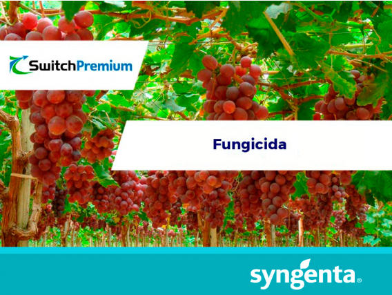 Fungicida Switch® Premium