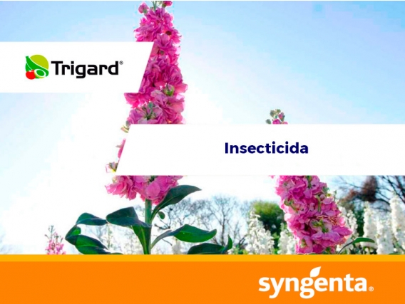 Insecticida Trigard® 75 WP